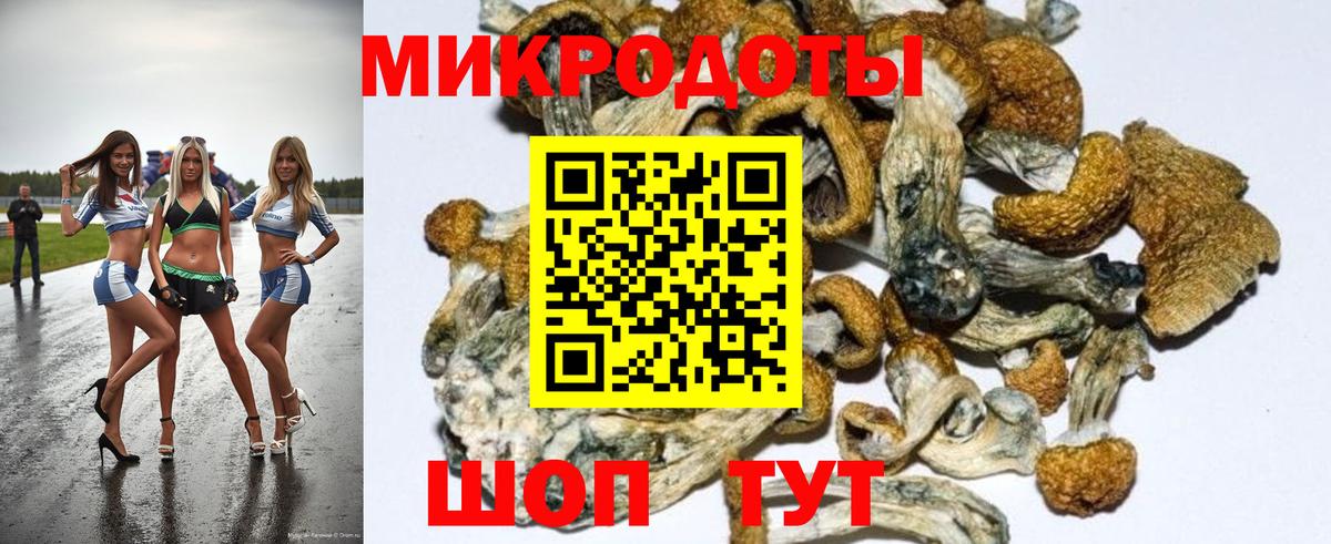Галлюциногенные грибы MAGIC MUSHROOMS  Галлюциногенные грибы ЛСД  Вход с VPN  Гагарин 