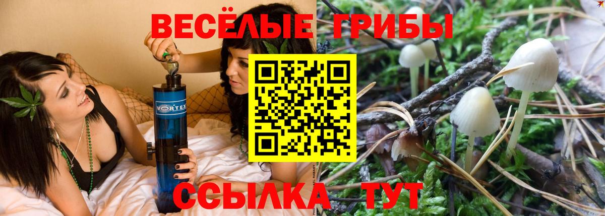 Галлюциногенные грибы прущие грибы Гагарин